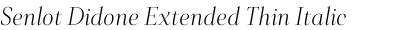 Senlot Didone Extended Thin Italic